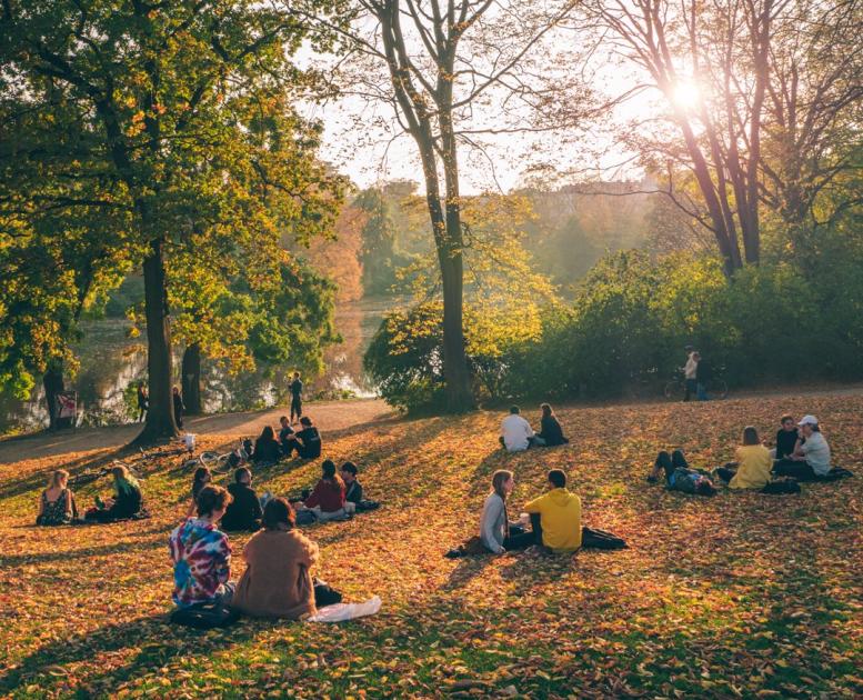 Höst i Ørstedparken i Köpenhamn
